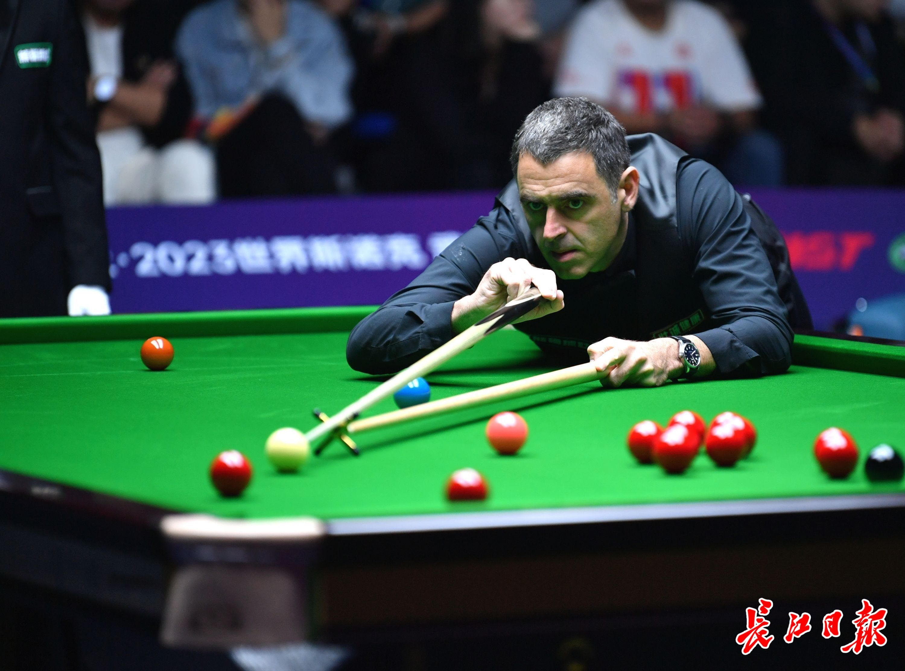 须要在体能 须要在体能