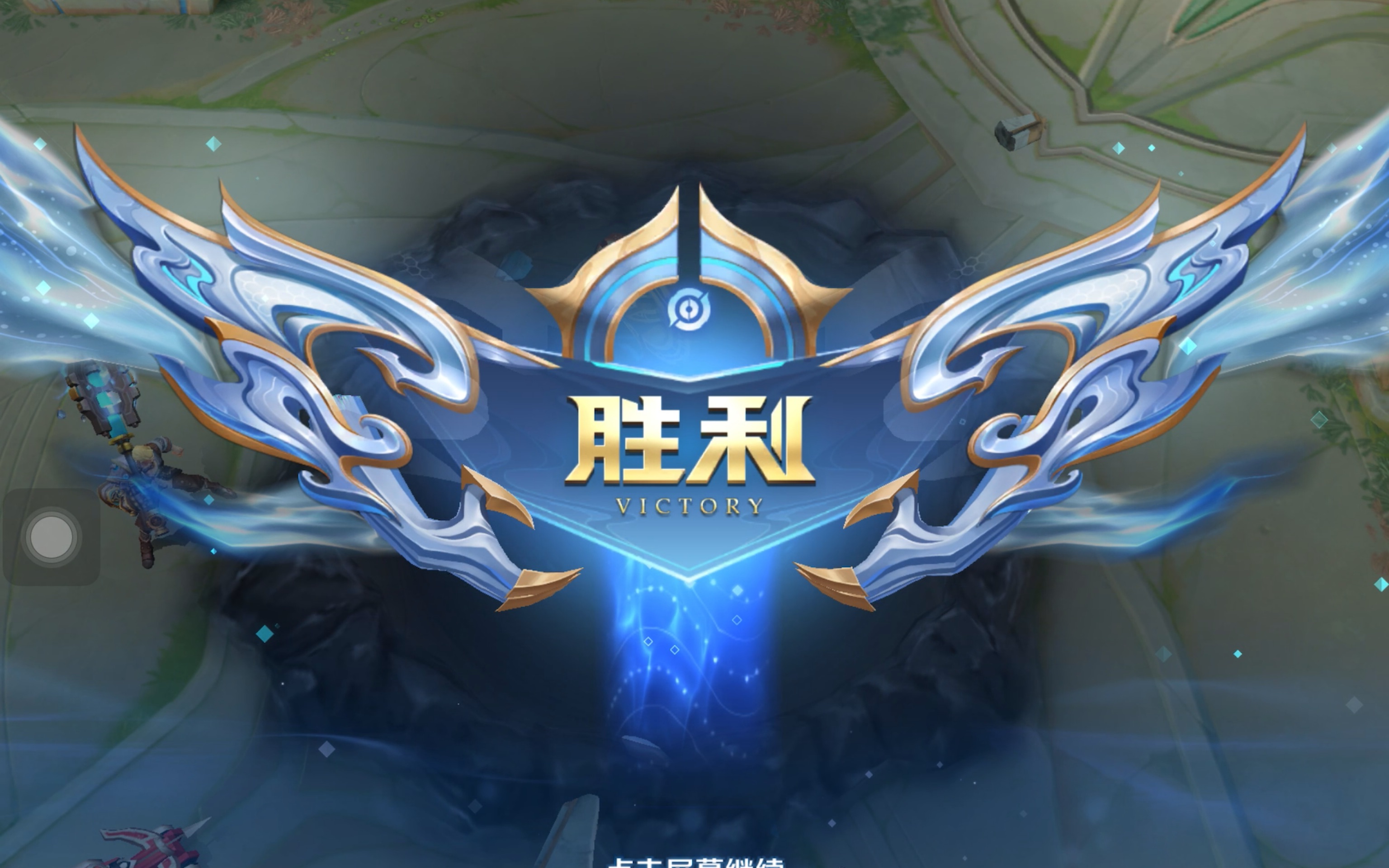 纽约的球迷